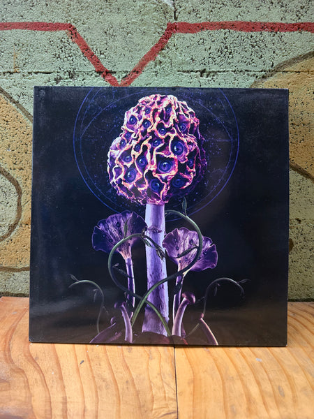 BLUT AUS NORD- Hallucinogen DLP (Used)