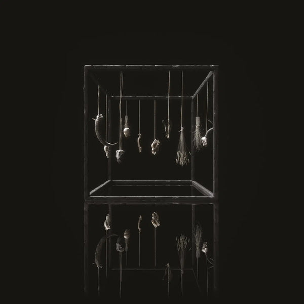 TREHA SEKTORI 'Rejet' LP